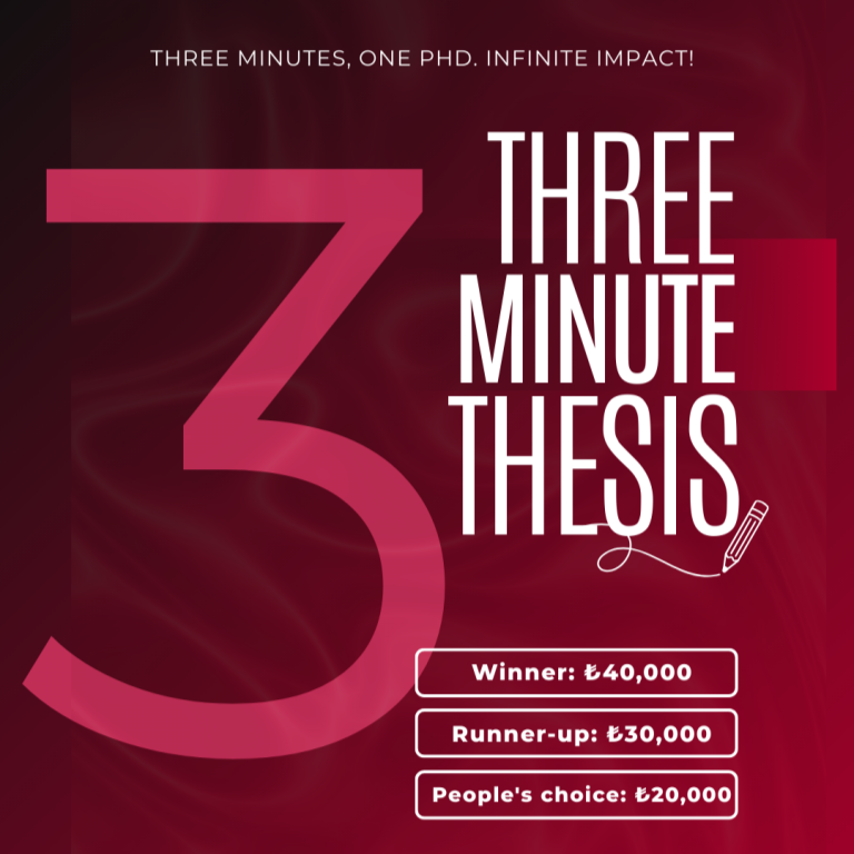 3MT visual
