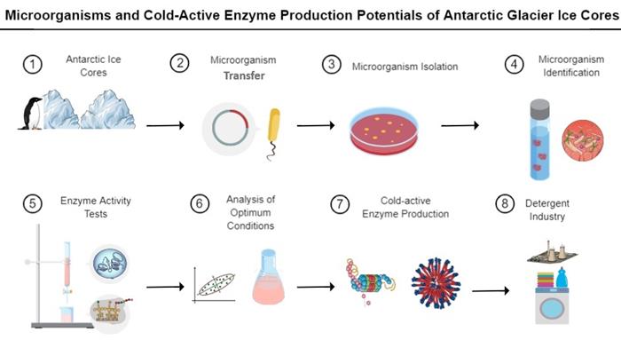 elif-genceli_gamze-nese-ozcan_proje-gorseli_1